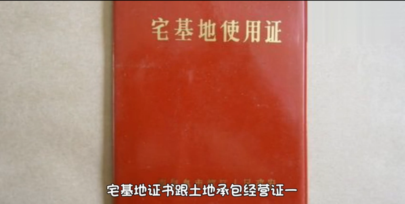 大同区农业农村局人事大调整，开启未来农业新篇章