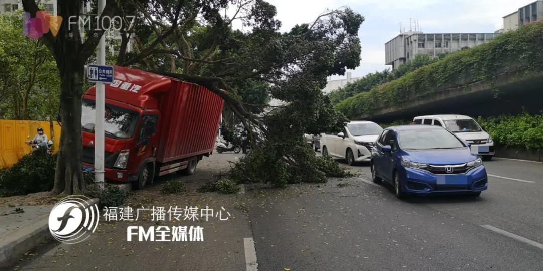 福州车祸最新消息，事故深度解析与应对策略探讨