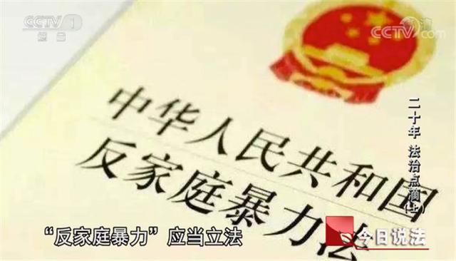 夫妻家庭暴力法律最新规定及其社会影响分析