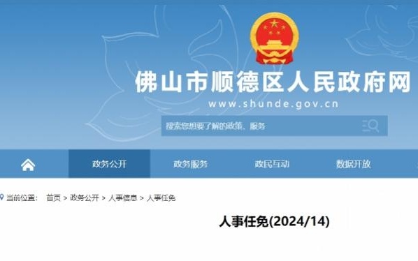 顺德区最新人事任免动态更新