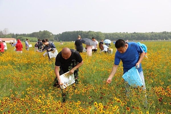 马莲滩村民委员会最新天气预报概览