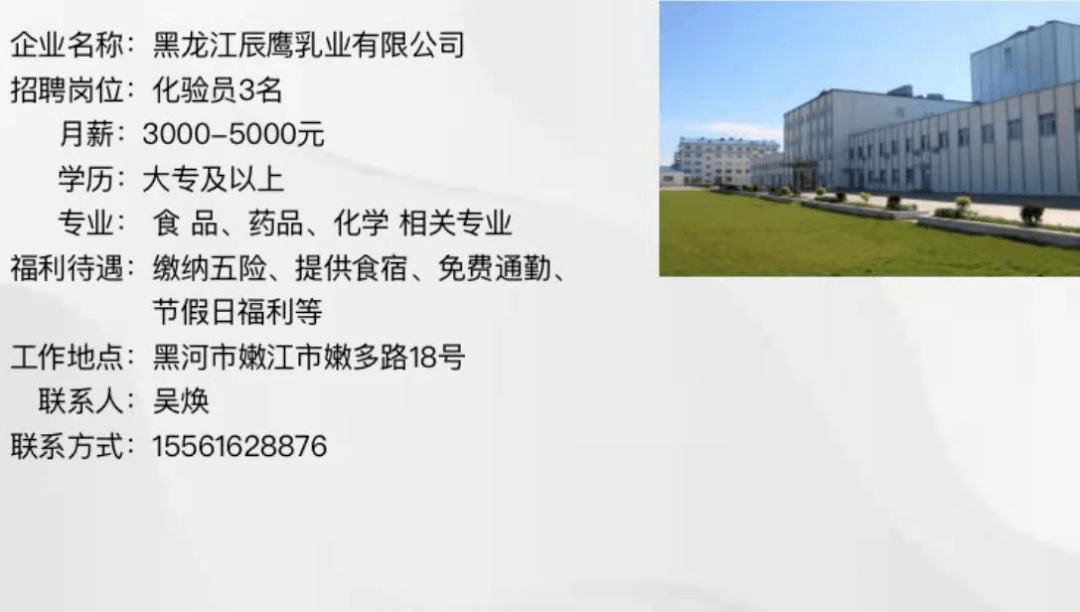 黑河市交通局最新招聘信息概览