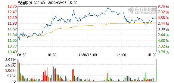 秀强股份最新消息,秀强股份最新消息全面解析